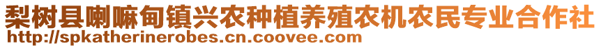 梨樹縣喇嘛甸鎮(zhèn)興農(nóng)種植養(yǎng)殖農(nóng)機(jī)農(nóng)民專業(yè)合作社