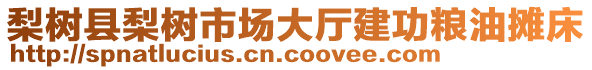 梨樹縣梨樹市場大廳建功糧油攤床