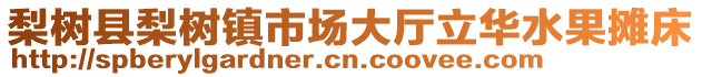 梨樹縣梨樹鎮(zhèn)市場大廳立華水果攤床