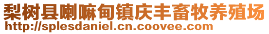 梨樹縣喇嘛甸鎮(zhèn)慶豐畜牧養(yǎng)殖場(chǎng)