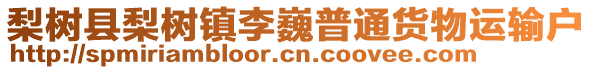 梨樹縣梨樹鎮(zhèn)李巍普通貨物運(yùn)輸戶