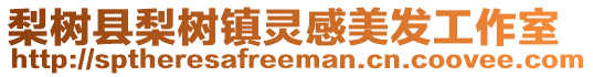 梨樹縣梨樹鎮(zhèn)靈感美發(fā)工作室