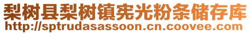 梨樹縣梨樹鎮(zhèn)憲光粉條儲存庫