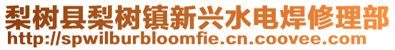 梨樹縣梨樹鎮(zhèn)新興水電焊修理部