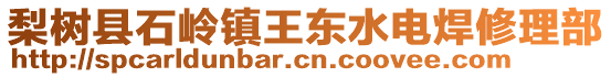 梨樹縣石嶺鎮(zhèn)王東水電焊修理部