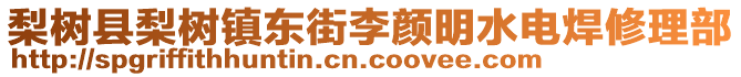 梨樹縣梨樹鎮(zhèn)東街李顏明水電焊修理部