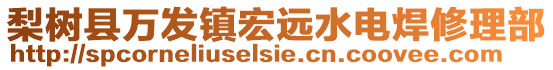 梨樹縣萬發(fā)鎮(zhèn)宏遠(yuǎn)水電焊修理部