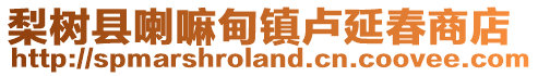梨樹縣喇嘛甸鎮盧延春商店