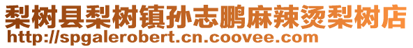 梨樹縣梨樹鎮孫志鵬麻辣燙梨樹店