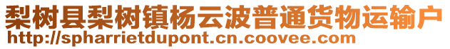 梨樹縣梨樹鎮(zhèn)楊云波普通貨物運(yùn)輸戶