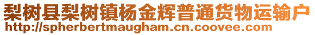 梨樹縣梨樹鎮(zhèn)楊金輝普通貨物運輸戶