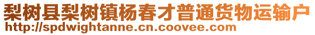 梨樹縣梨樹鎮(zhèn)楊春才普通貨物運(yùn)輸戶