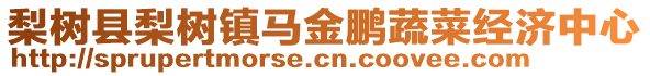 梨樹縣梨樹鎮(zhèn)馬金鵬蔬菜經(jīng)濟(jì)中心