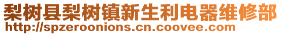 梨樹縣梨樹鎮新生利電器維修部