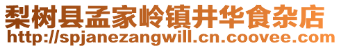 梨樹縣孟家嶺鎮井華食雜店