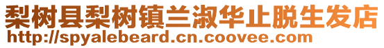 梨樹縣梨樹鎮蘭淑華止脫生發店