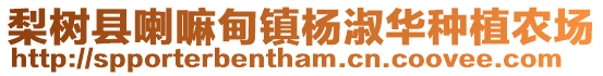 梨樹縣喇嘛甸鎮楊淑華種植農場