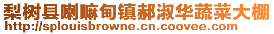 梨樹縣喇嘛甸鎮(zhèn)郝淑華蔬菜大棚