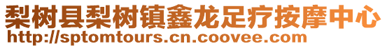 梨樹縣梨樹鎮(zhèn)鑫龍足療按摩中心