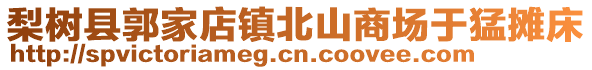 梨樹縣郭家店鎮(zhèn)北山商場于猛攤床