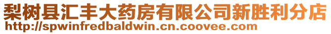 梨樹縣匯豐大藥房有限公司新勝利分店