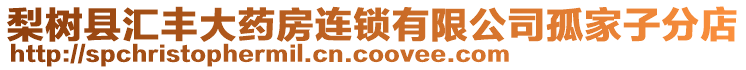 梨樹縣匯豐大藥房連鎖有限公司孤家子分店