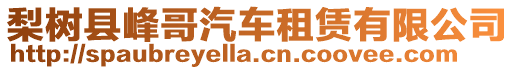 梨樹縣峰哥汽車租賃有限公司