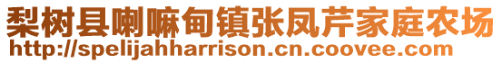 梨樹縣喇嘛甸鎮(zhèn)張鳳芹家庭農(nóng)場