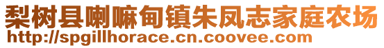 梨樹(shù)縣喇嘛甸鎮(zhèn)朱鳳志家庭農(nóng)場(chǎng)