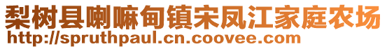 梨樹縣喇嘛甸鎮(zhèn)宋鳳江家庭農(nóng)場