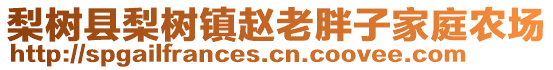 梨樹(shù)縣梨樹(shù)鎮(zhèn)趙老胖子家庭農(nóng)場(chǎng)