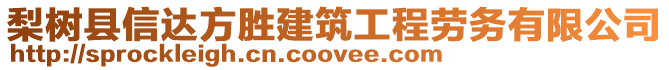 梨樹縣信達方勝建筑工程勞務有限公司