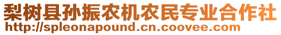 梨樹縣孫振農(nóng)機農(nóng)民專業(yè)合作社