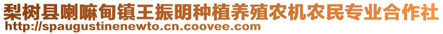 梨樹縣喇嘛甸鎮(zhèn)王振明種植養(yǎng)殖農(nóng)機(jī)農(nóng)民專業(yè)合作社