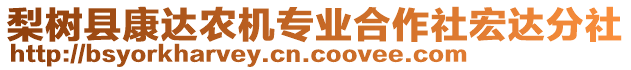 梨樹縣康達農(nóng)機專業(yè)合作社宏達分社