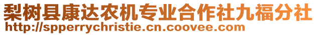 梨樹縣康達農(nóng)機專業(yè)合作社九福分社