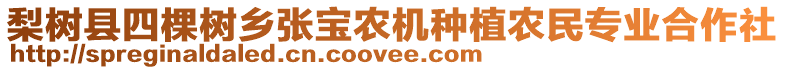 梨樹縣四棵樹鄉(xiāng)張寶農(nóng)機(jī)種植農(nóng)民專業(yè)合作社