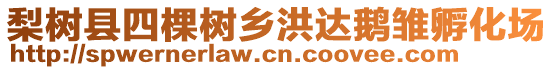 梨樹縣四棵樹鄉(xiāng)洪達鵝雛孵化場