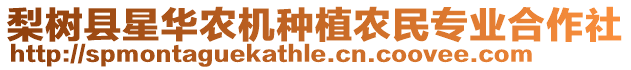 梨樹縣星華農(nóng)機(jī)種植農(nóng)民專業(yè)合作社