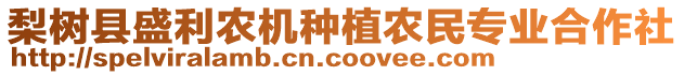 梨樹縣盛利農(nóng)機(jī)種植農(nóng)民專業(yè)合作社