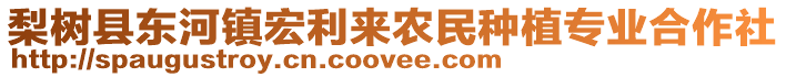 梨树县东河镇宏利来农民种植专业合作社