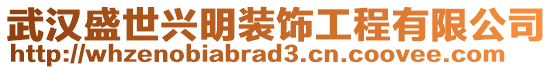 武漢盛世興明裝飾工程有限公司