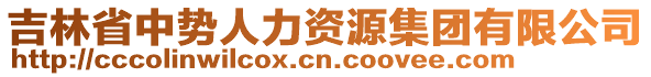 吉林省中勢人力資源集團有限公司