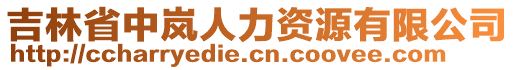 吉林省中嵐人力資源有限公司