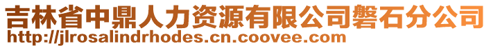 吉林省中鼎人力資源有限公司磐石分公司