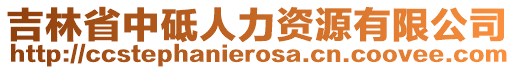 吉林省中砥人力資源有限公司