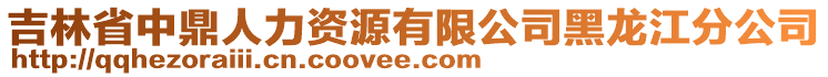 吉林省中鼎人力資源有限公司黑龍江分公司