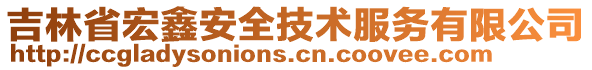 吉林省宏鑫安全技術(shù)服務(wù)有限公司