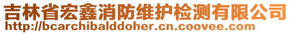 吉林省宏鑫消防維護(hù)檢測有限公司