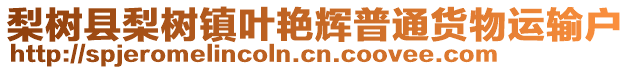 梨樹縣梨樹鎮(zhèn)葉艷輝普通貨物運輸戶